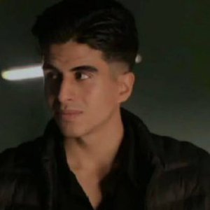Mohammad Javad Moghani